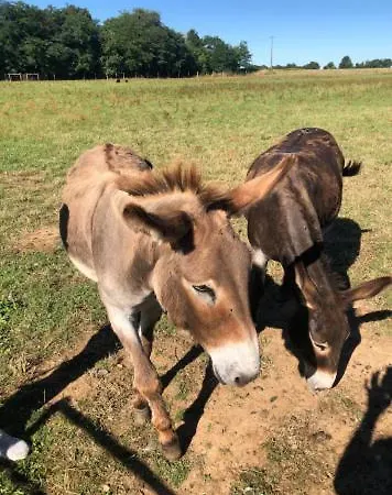 Дом отдыха Relaxing Countryside