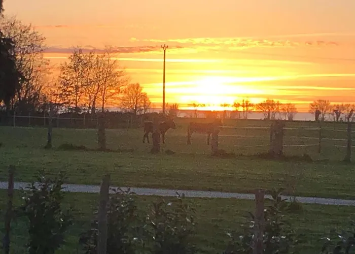 Hébergement de vacances Relaxing Countryside *